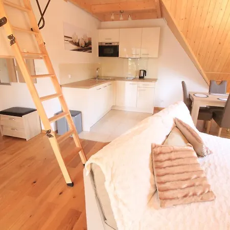 Apartament Bazatatry Centrum 扎科帕内